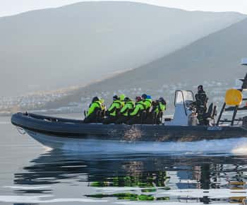 Tromsø: tour di avvistamento balene in gommone a Skjervøy
