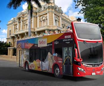 Mérida : Visite touristique panoramique en bus avec 2 itinéraires