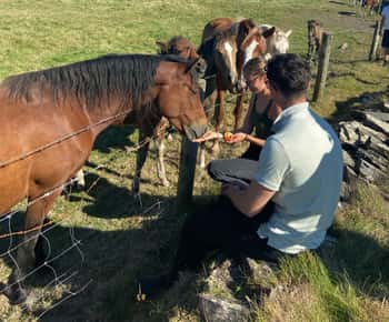 Von Doolin aus: Geführter Rundgang zu den Cliffs of Moher