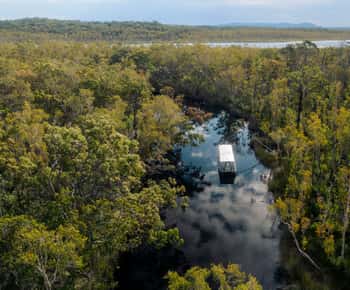 Noosa: Afternoon Cruise through the Noosa Everglades