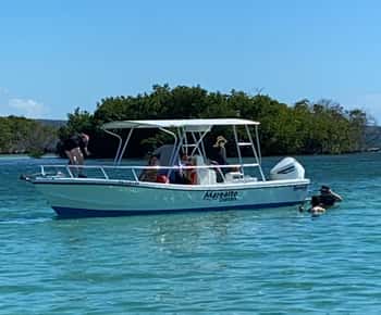 From La Parguera: Local Sandbars Speedboat Day Trip
