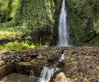 Kingstown: Cascading Dark View Falls and Beach Tour