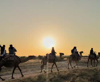 Cappadocia: Giro panoramico in cammello al tramonto o all'alba