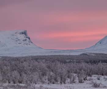 Abisko National Park: Landschaftliche Morgenwanderung mit Transfer