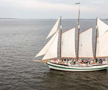 Charleston: passeio de escuna pelo porto e observação de golfinhos