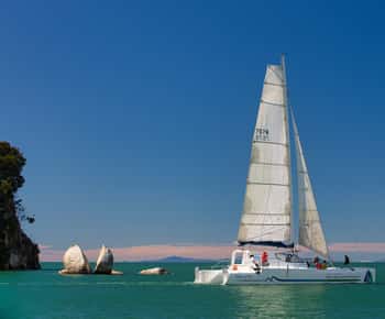 Abel Tasman National Park: Day Sailing Adventure with Lunch