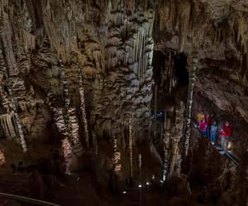 Entdeckungstour in den Natural Bridge Caverns