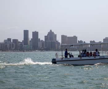 Durban: Passeio de barco de uma hora saindo do Wilson's Wharf
