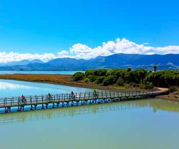 Nelson to Mapua: Full-Day Cycling Self-Guided Adventure