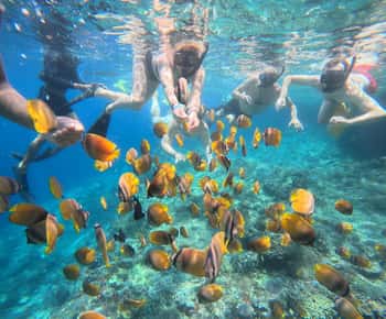Bali: Snorkeling Trip to Blue Lagoon with Private Pickup Car