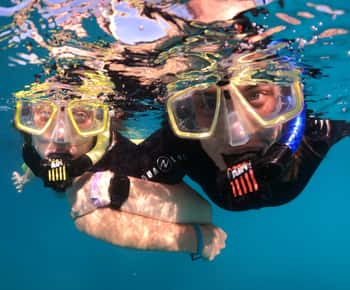 Tenerife: Tour de medio día de snorkel
