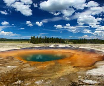 De Jackson: Viagem de 1 dia ao Parque Nacional de Yellowstone com almoço