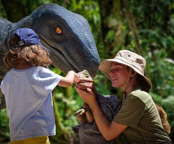 Vanuit Alcúdia: Dinosaurusland en Cuevas dels Hams Halve Dagtrip