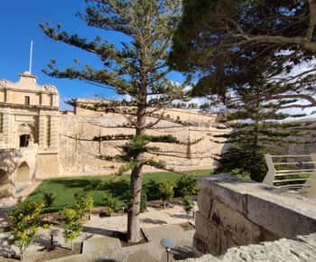 Mdina and Rabat: Guided City Walking Tour