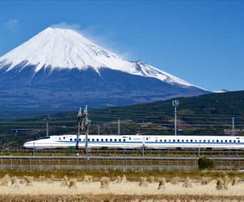 Vanuit Tokio: Mt. Fuji & Hakone Tour met terugreis per hogesnelheidstrein