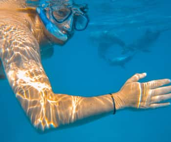 Wasini: Gita panoramica in barca con colazione, pranzo e snorkeling