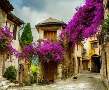 Vanuit Nice: De Provence en haar Middeleeuwse Dorpen Dagvullende Tour