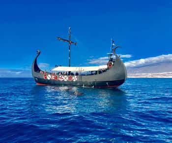 Los Cristianos: crociera Viking per osservare balene e delfini