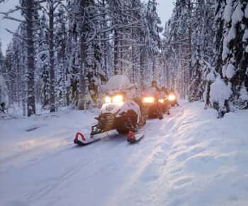 Kemi-Tornio: Skovsafari på snescooter med varme drikke og snacks