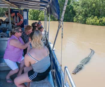Darwin : Spectaculaire crocodile sauteur Croisière sur la rivière Adélaïde
