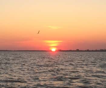Charleston: Croazieră în port la apus de soare