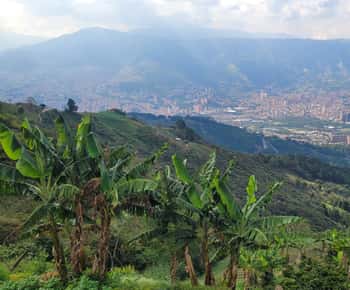 Medellin: Kaffeefarm-Tour & Spa mit Glamping-Übernachtung
