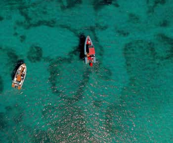 Zadar: Speedbåttur med snorkling og frukt