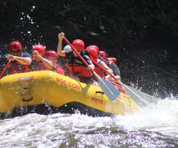 Da Hartford: tour di rafting sulle acque bianche dell'Upper Pigeon River