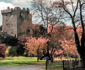 From Cork: County Cork Highlights Tour with Entrance Tickets