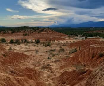 Neiva: escursione guidata al deserto di Tatacoa con pranzo