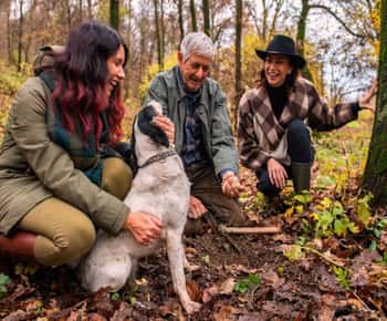 Langhe: Truffle Hunting Tour