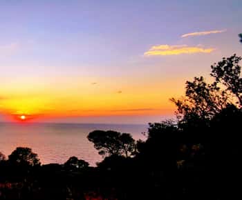 From Vieste: Tremiti Islands Roundtrip Ferry