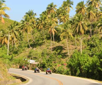 Las Terrenas: Tour particular de quadriciclo na trilha do café em Samana