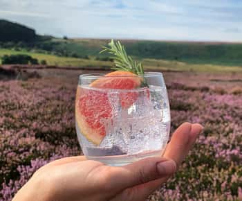 Guided Distillery Tour with Gin Tasting