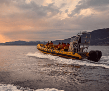 Vancouver: Waterfront Sightseeing Tour - City and Nature