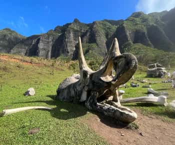 Oahu: Kualoa Movie Sites, Dschungel und Buffet Tour Paket