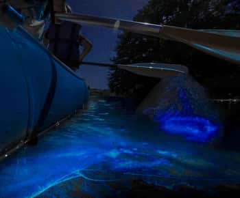 Cocoa Beach: Bioluminescent Paddle Raft Tour