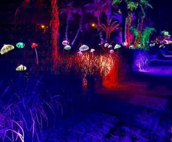 IBIZA: Astro Magic Lights im Bibo Park