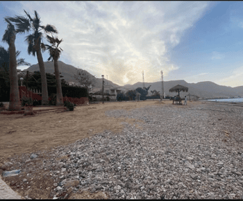 Do Cairo: Excursão particular de 1 dia ao Mar Vermelho Al-Ain Sokhna