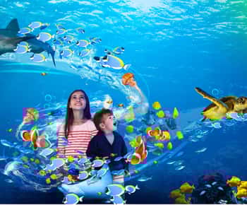 Scheveningen, The Hague: Sea Life Entry Ticket