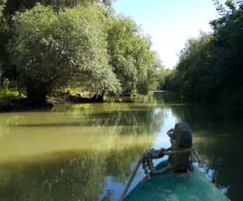 From Bucharest: 3-Day Danube Delta Birdwatching Private Tour