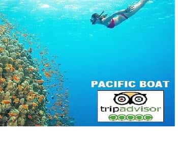 Hoi An/Da Nang: Snorkelling & Island-Hopping Speedboat Tour