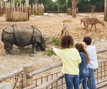 Ingresso para o zoológico de Eindhoven
