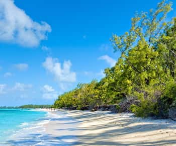 Mauritius: Ile Aux Cerfs Catamaran Trip w/ Lunch & Transfer