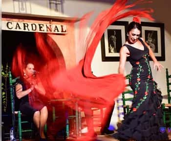 Córdoba: Vstupenka na flamencovou show s nápoji