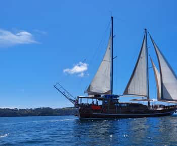 Quepos: Crucero en Yate de Madera con Deportes Acuáticos y Comida