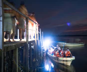 Puerto Escondido: Bioluminescentie Nacht Spektakel
