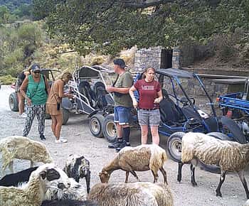 Buggy safari Crete (Transfer and lunch) analipsi- hersonisos