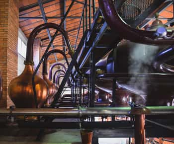 Jarnac: Braastad Cognac Entdeckungstour