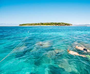 Cairns: Green Island Snorkelling vagy Glass Bottom Boat